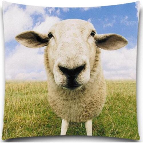 Lovely sheep Square Comfortable Back Throw Pillow Case Cotton polyester Home car sofa 5 size 9 style