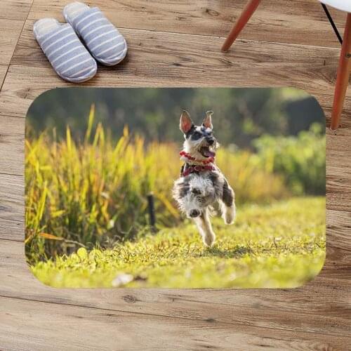 Schnauzer Pattern Door Mat Living Room Floor Carpet Soft Coral Fleece Rug Custom Doormat Anti-Slip Bathroom Bath Mat