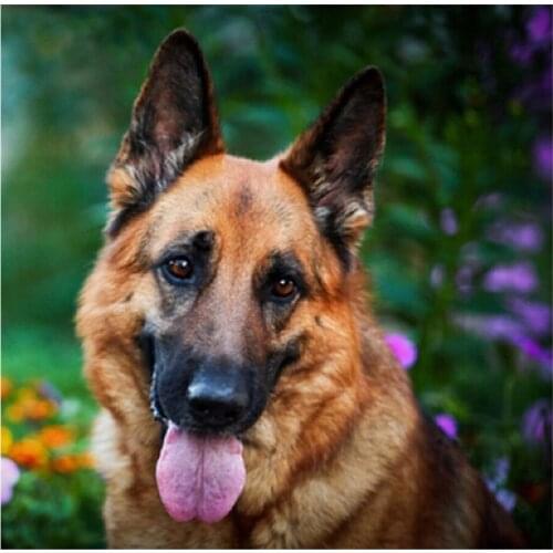 Unicorn 5D DIY Diamond Painting Dragon Full Square/Round Art Pictures 3D Embroidery Mosaic Cross Stich Kits Stickers Decor DF560