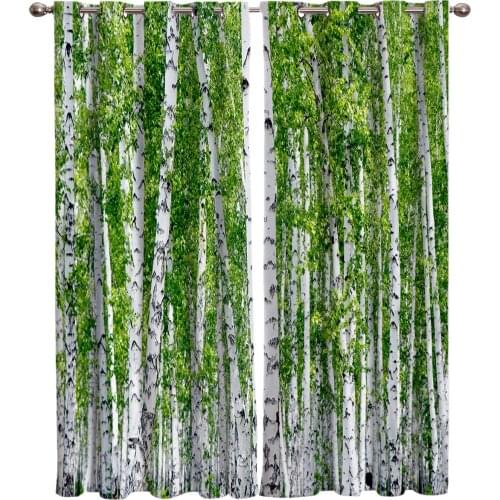 Birch Trees Nature Outdoor Living Room Kitchen Indoor Print Decor Window Treatment Curtain Panels With Grommets