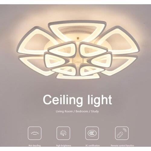 Creative Living Room Lights Warm and Comfortable Ceiling Light LED Bedroom Study Lamp Remote Control Function Light