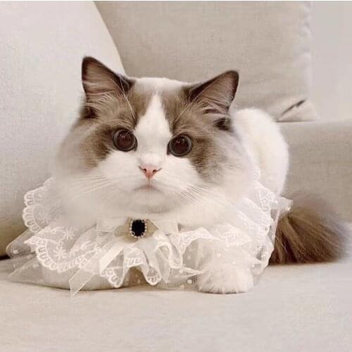 2021 Pet Accessories Lace Cat Handmade Bow Bib Tie Dog Necklace Dogs Festival Bow Tie Net yarn