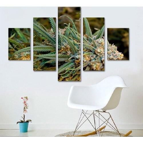 5 Pieces of High-definition Printing Art Painting Plant Landscape Painting Poster Modern Living Room Home Decoration Frameless