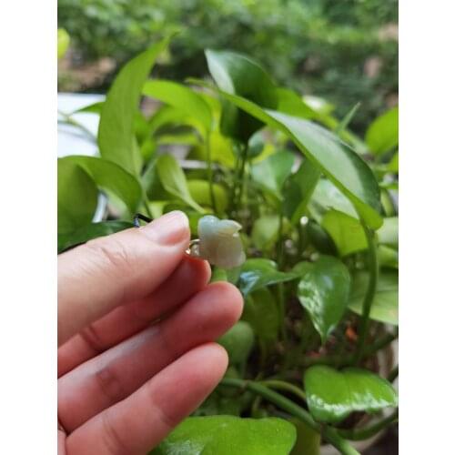 Natural Jade Rabbit Jadeite Emerald Necklace Carved Charm Jewellery Fashion Amulet for Men Women Lucky Gifts