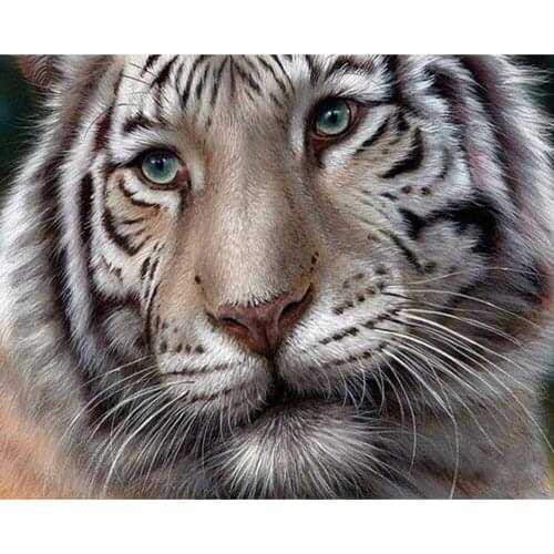 DIY 5D Full Diamond Painting Cross Stitch Painting White tiger Diamond Embroidery Needlework Patterns Rhinestone kits