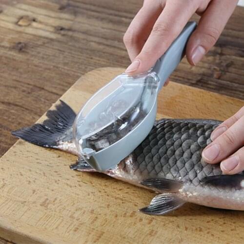 Convenient ABS Fish Scale Scraper Simple Operation Fish Scale Peeler Save Time Anti-pinch Fish Scale Remover for Kitchen