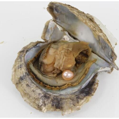 7-8mm Akoya Oysters with Natural Pink Rice Pearls Oysters Dyed Beads Making Individually Wrapped Birthday Wedding Gift AO013