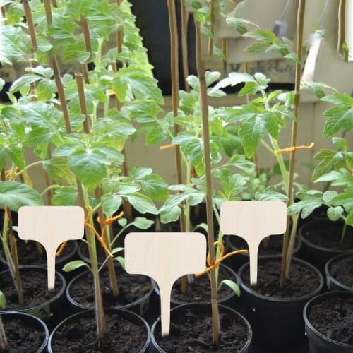 10PCS T-Type Bamboo Plant Labels Eco-Friendly Wooden Plant Sign Tags Garden Markers for Bonsai Seed Potted Herbs Flowers Tool