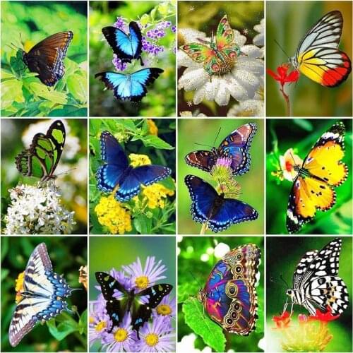 5D DIY Diamond Painting Kits Full Round With AB Drill Butterfly Flower Embroidery Cross Stitch Rhinestone Mosaic Art Home Decor