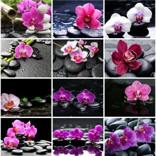 EverShine Diamond Painting Orchid Stone Cross Stitch Diamond Embrodiery Flowers Picture Rhinestones Handmade Hobby Home Decor