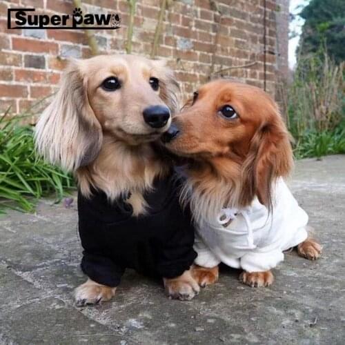 Autumn Winter Pet Dog Cotton Hoodie Sweatshirt Coat Sweater Jacket Clothes For Small Medium Dogs French Bulldog Pug WSC28