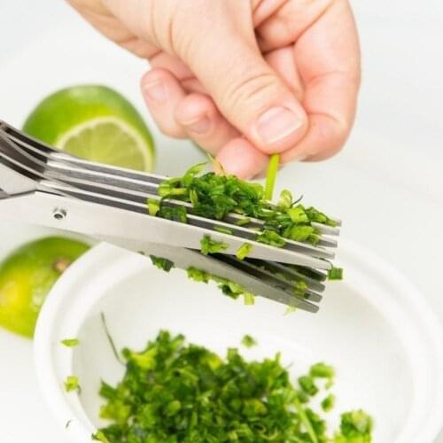 19CM Minced 5 Blades Stainless Steel Kitchen Scissors Herb Cutter Shredded Rosemary Scallion Cutter Herb Chopped Tool Cut