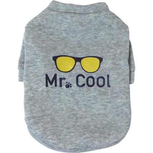 2019 New Fashion Dog Clothes Pet Dog Jacket Coat Cotton Sweatshirt Fleece Warm Clothes Dog Letter Printed 2 Legged Tops Costume