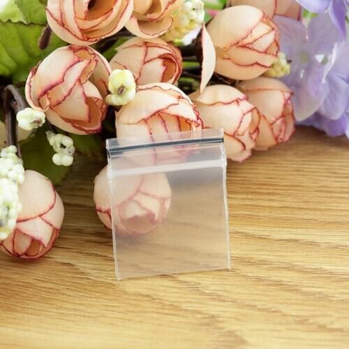 Plastic Gift Bag Wholesale 100pcs/lot 1.8x2.5cm Clear Plastic PE Zip Lock Jewelry Gift Packaging Storage Bags
