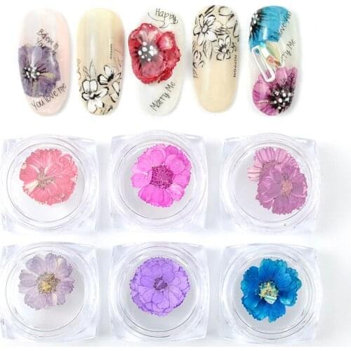 6Pcs/Set Nail Daisy Dry Flower 3D Charms Nail Art Real Flowers Nature Dry Floral For Nail Art Design Manicure Nails Accessories