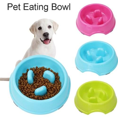 Первый питомец Chubby Catus China At AliExpress