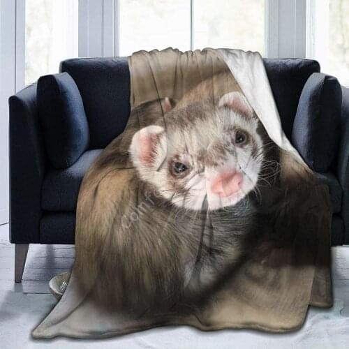 Adult Special Cute Ferret Throw Blanket Fashion Plush Throw Blankets All Season Ultra-Soft Micro Fleece Blanket Gifts
