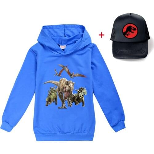 Dinosaur Boys Hoodies Tees Cotton Boys Autumn Clothes Shirts for Teenage Girls Cosplay Multi-color Shirt Little Kids Hooded Tops