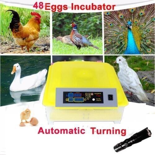 Automatic Egg Incubator 48 Digital Clear Egg Turning Temperature Control Farm Hatchery Machine chicken egg Hatcher Brooder
