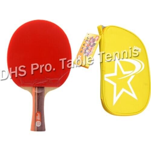 Original DHS 2002 2006 table tennis rackets 2 stars with pimples in table tennis rubber finished rackets ping pong paddles