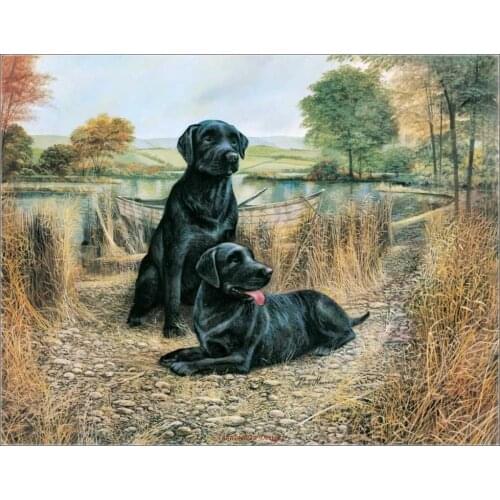 Counted Cross Stitch Kits Needlework Embroidery - Crafts 14 ct Aida Color DIY Arts Handmade Home Decor - Swimming Lessons