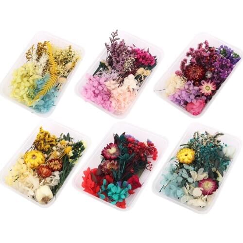 1Box Real Pressed Dried Flower Floral Craft Resin Pendant Jewelry Making DIY