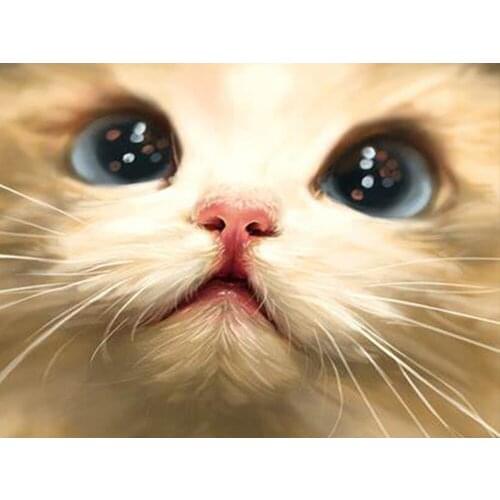 Cat Animal DIY 11CT Embroidery Cross Stitch Kits Craft Needlework Set Printed Canvas Cotton Thread Home Dropshipping