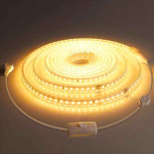 SMD 5050 LED Strip 220V Lamp Waterproof RGB LED Tape Rope Light Flexible LED light 220 V Outdoor Decoration Lights