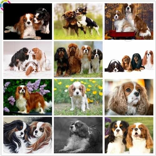Full Square Round Diamond Painting Cavalier King Charles Spaniel Cross Stitch Kit Diamond Mosaic 5d Diamond Embroidery Cute Pet