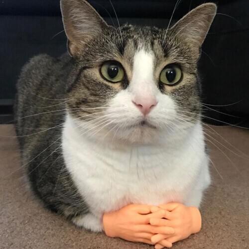 Simulation Palm And Finger Cots Alien Finger Funny Party Costume Toys Gift Novel Weird For Children Cots W1G5