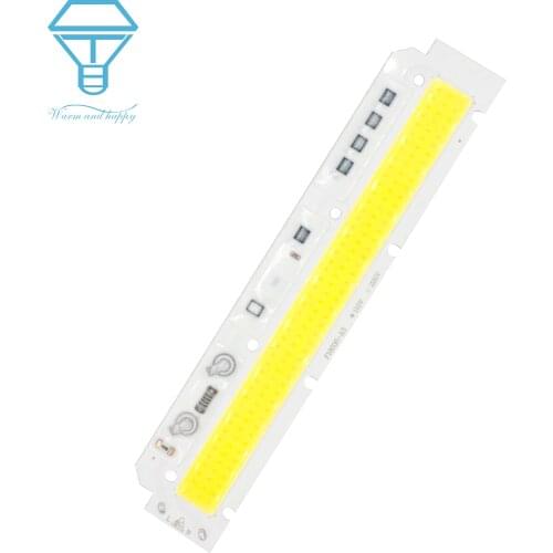 LED Chip AC220V 50W Strip Light High Power LED Lamp LED COB Light Bulb Strip Chip On Board Lighting Source Warm Cold White
