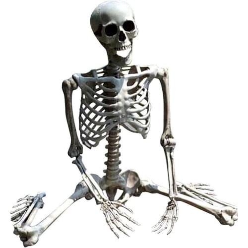 Halloween Human Skeleton Vintage Decor Hanging Props Haunted House Window Decoration Lawn Scary Skull Decorations