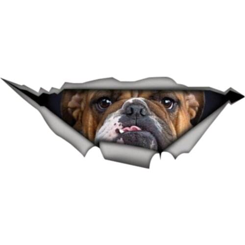 Bulldog Sticker Torn Metal Decal Wild Animal Funny Car Stickers 3D Car Styling Window Bumper 13cm X 5cm