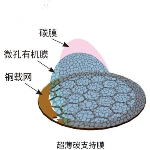 200 to 300 Mesh Domestic Copper Mesh Ultra-thin Carbon Film TEM Carrier Network Support Film TEM Consumables