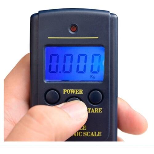 SANBEI 40kg 10g Mini Hanging Scale Portable Luggage Scale Weight Balance blue backlight Fishing Scale