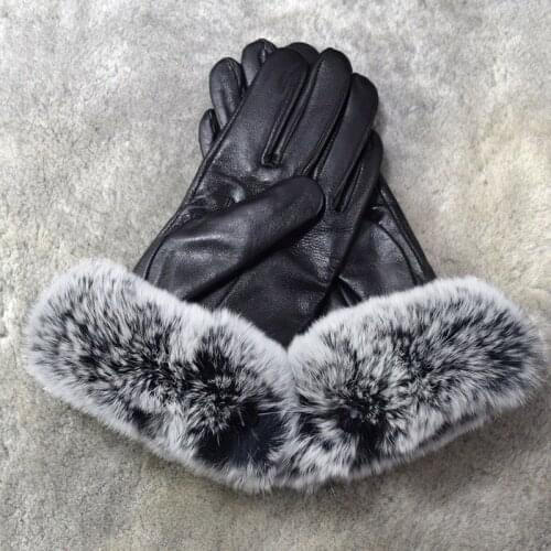 Adamant Ant Women's Accessories
