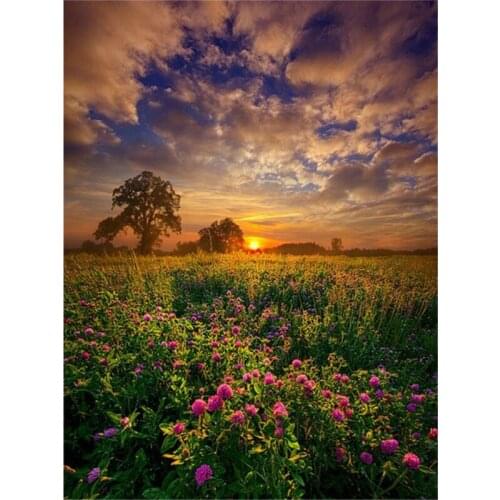 5D Full Square Diamond Painting Sunset Cross Stitch Diamond Embroidery Landscape Mosaic Flower and Mountain Home Decor