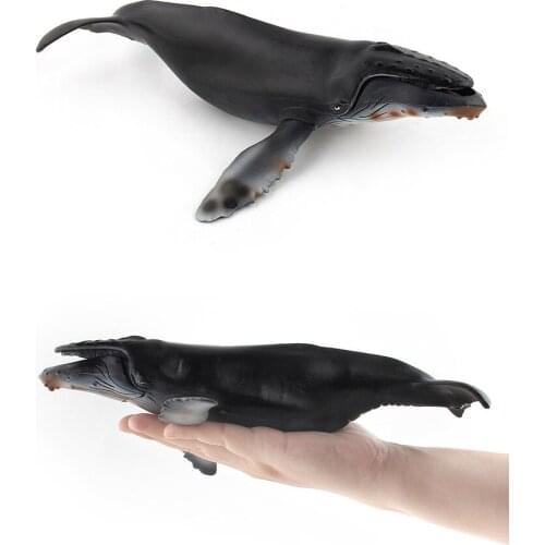 1pc 28CM Humpback Whale Models Sealife Ocean Animals Children Educational Simulational Toys Gifts Collections
