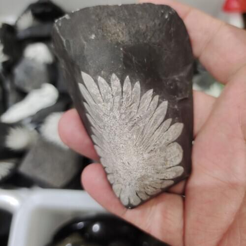 1pcs Natural chrysanthemum stone crystal hand carved black ore crystal shape beautiful gifts