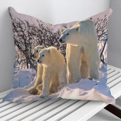 Bear Throw Pillows Cushion Cover On Sofa Home Decor 45*45cm 40*40cm Gift Pillowcase Cojines Dropshipping