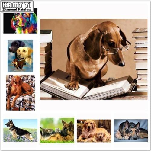 Diamond Painting Full Round Dog Animal Professor Dachshund Diamond Embroidery Mosaic Rhinestones Picture By Numbers Decor XY25