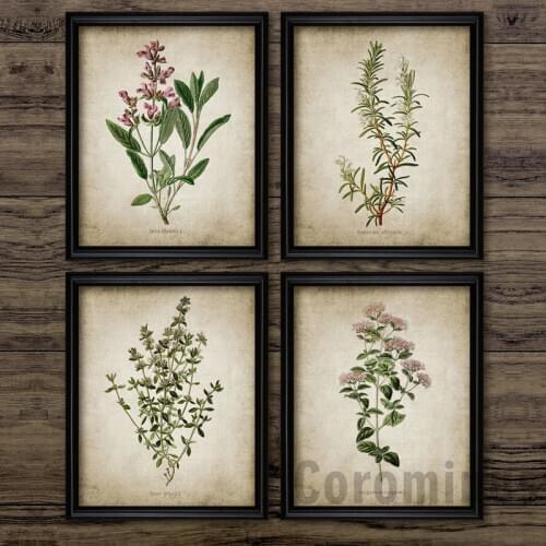 Vintage Herb Art Canvas Poster And Prints , Oregano Rosemary Sage Thyme Canvas Painting Retro Wall Pictures Home Art Wall Decor