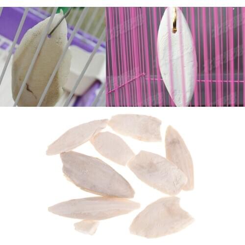 1 Bag Cuttlebone Cuttlefish Sepia Bone Cuttle Fish Bird Food Calcium Pickstone Pet
