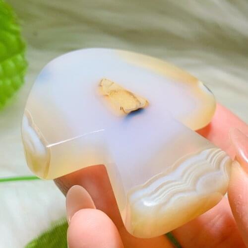 Druzy agate mushroom 2377