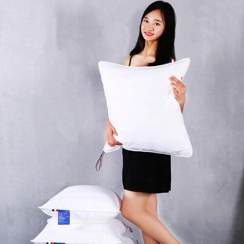 45x45/50x50/65x65/70x70 Pure Color Satin Cushion Core Throw Pillow Inner Cushion Filling Core Home Decor Supplies for Beds White