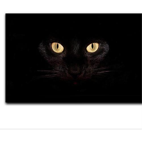 3D Print Entrance Door Mat Carpet Animals Black cat eyes Floor Carpets for Living Room Bedroom Rug bathroom Kitchen Non-Slip Mat