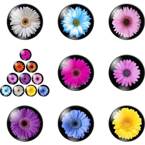 New a Chrysanthemum Coloured Drawing 12mm/20mm/25mm/30mm Round Photo Glass Cabochon Demo Flat Back Making Findings