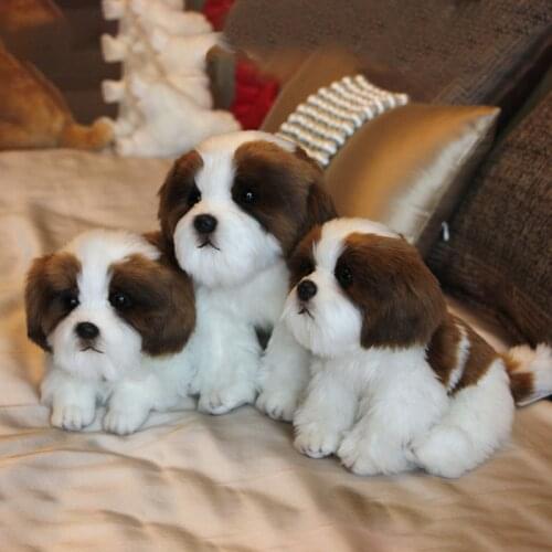 Plush Simulation Dog Stuffed Animal Toys Super Realistic Papillon Dog Doll Luxury Home Decor Crafts Kids Gifts Photo Props