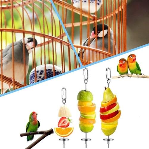 Bird Food Holder Stainless Steel Feeder Toy Small Animal Fruit Vegetable Stick Skewer Hanging Food Feeding for Parrots Cockatiel