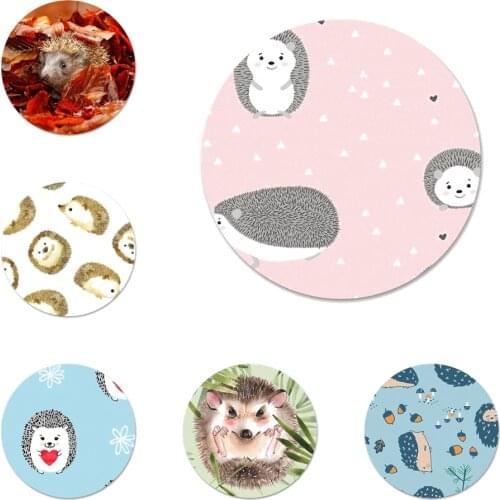 Cute Happy Hedgehog Badge Brooch Pin Accessories For Clothes Backpack Decoration gift 58mm